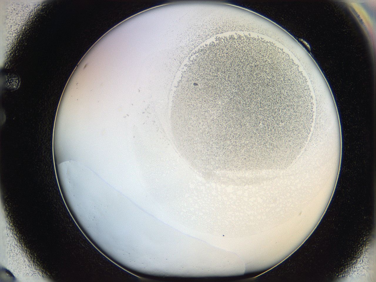 06hh_F9_ImagerDefaults_2.jpg