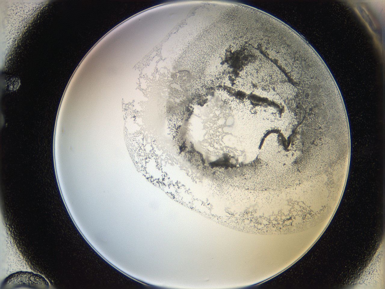 06hh_F10_ImagerDefaults_3.jpg
