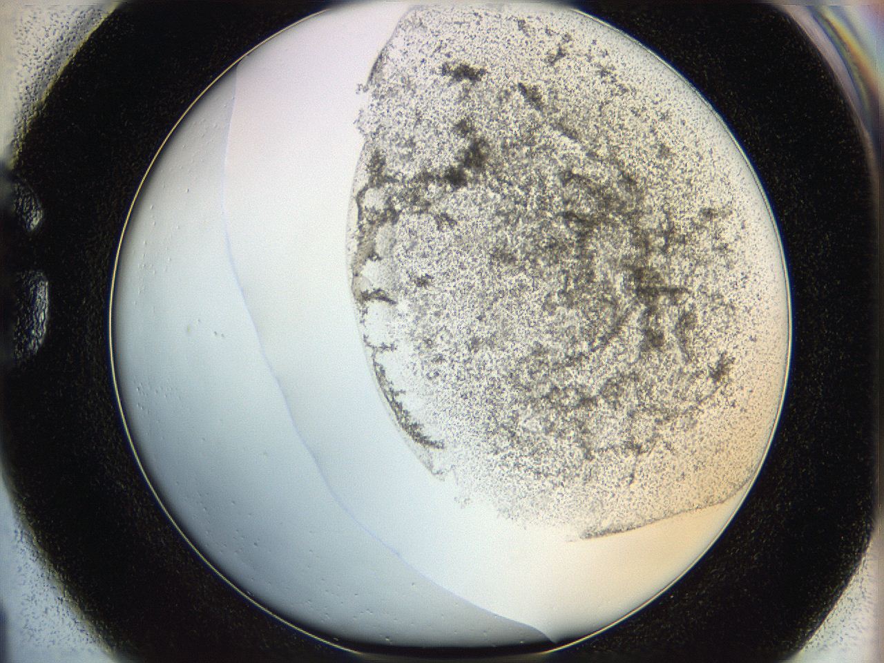 06hh_G1_ImagerDefaults_3.jpg