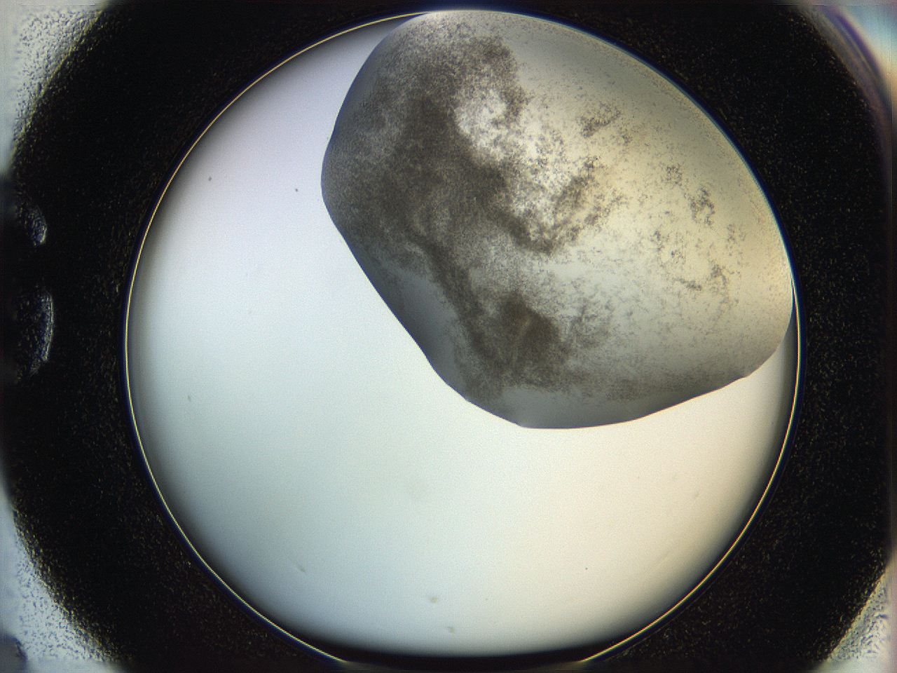 06hh_G4_ImagerDefaults_3.jpg