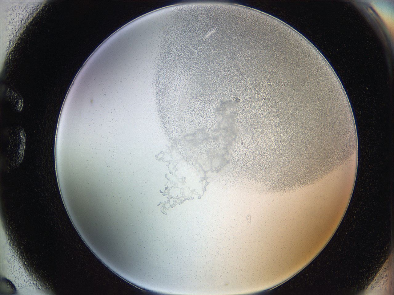 06hh_G6_ImagerDefaults_2.jpg