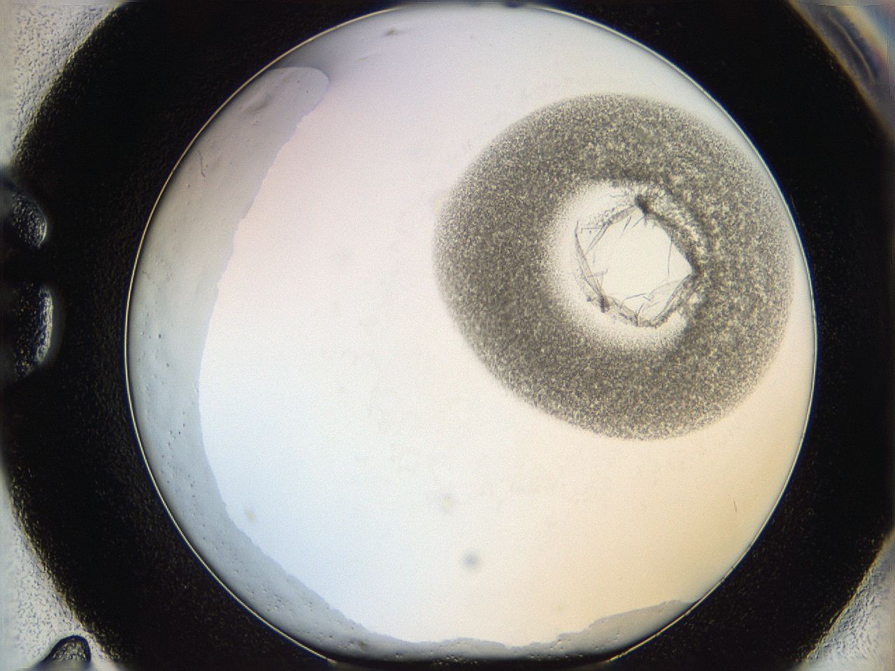 06hh_G11_ImagerDefaults_3.jpg