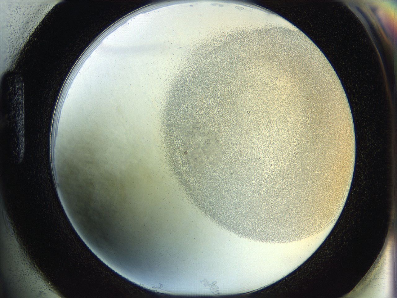 06hh_H1_ImagerDefaults_3.jpg
