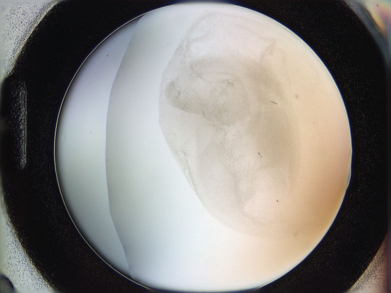 06hh_H3_ImagerDefaults_3.jpg