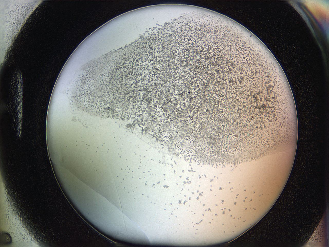 06hh_H5_ImagerDefaults_5.jpg