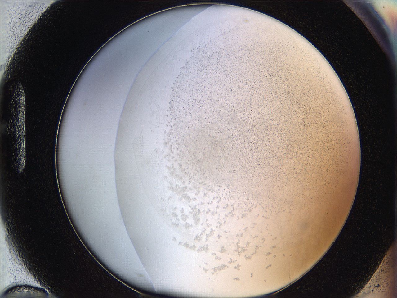 06hh_H10_ImagerDefaults_2.jpg