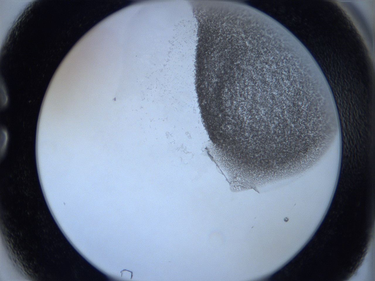 06hi_C3_ImagerDefaults_3.jpg