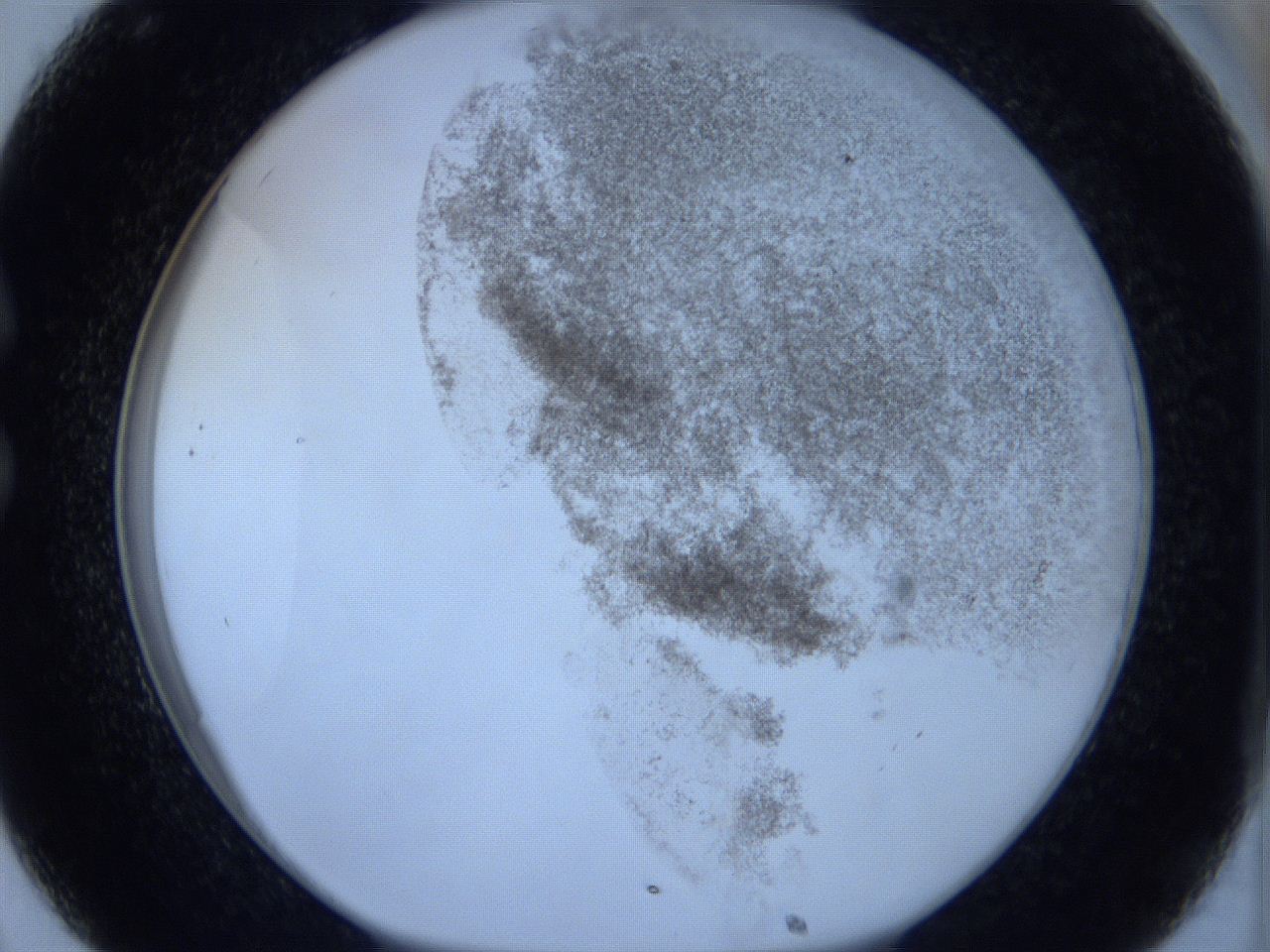 06hi_C8_ImagerDefaults_3.jpg