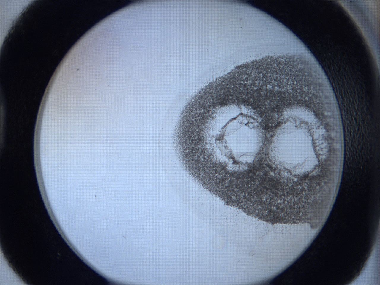 06hi_D4_ImagerDefaults_3.jpg