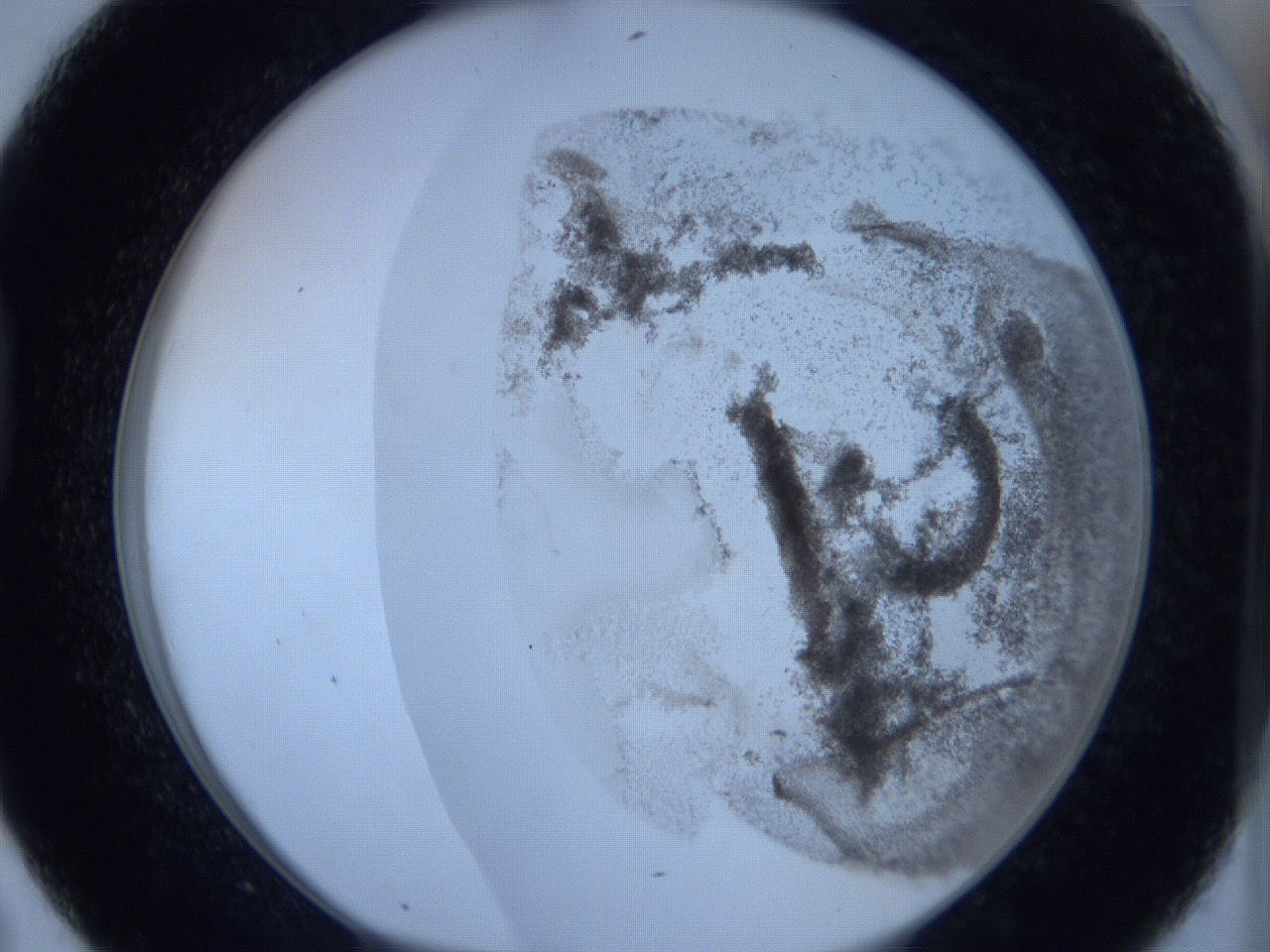 06hi_D7_ImagerDefaults_3.jpg