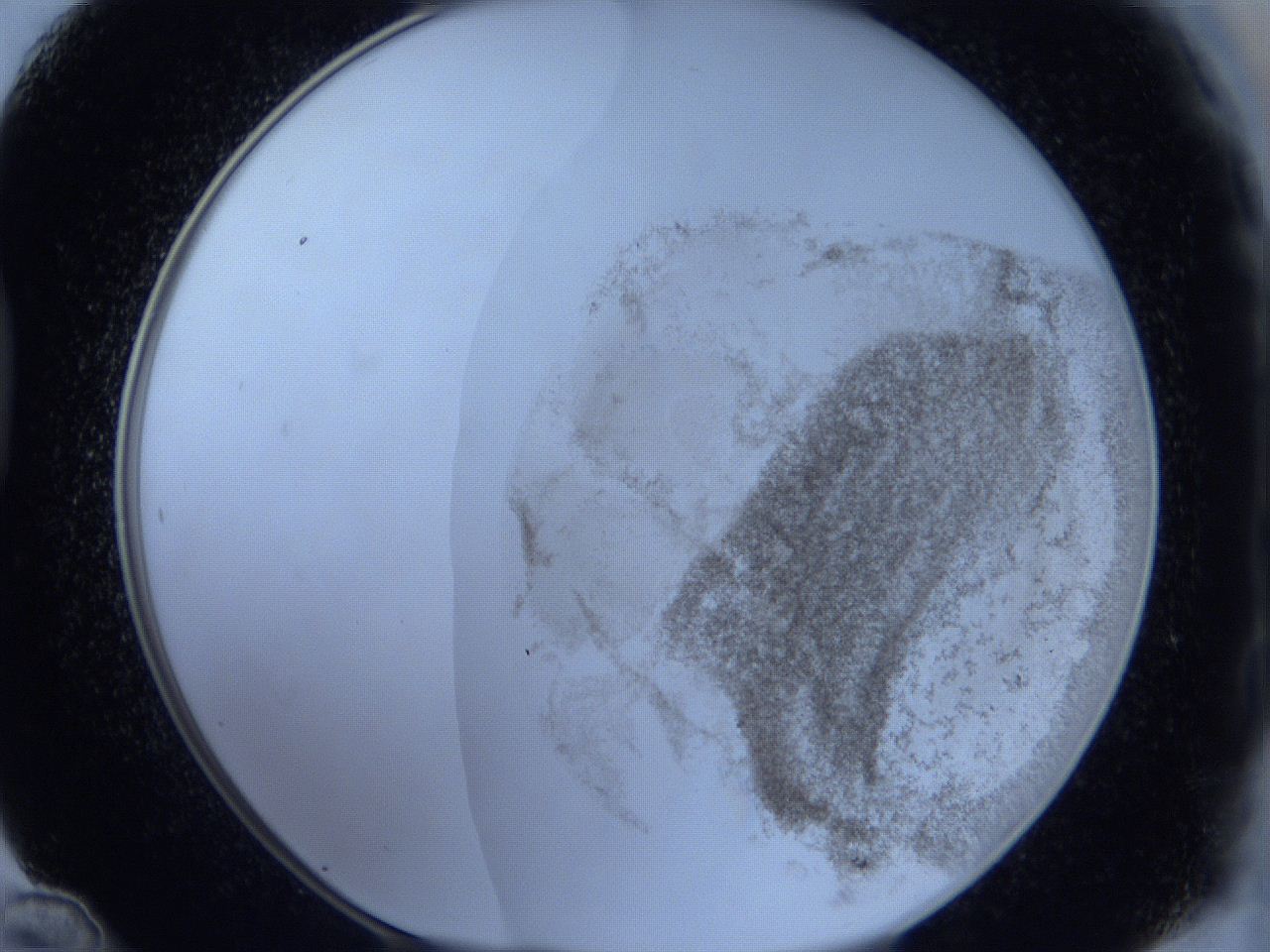06hi_D12_ImagerDefaults_3.jpg