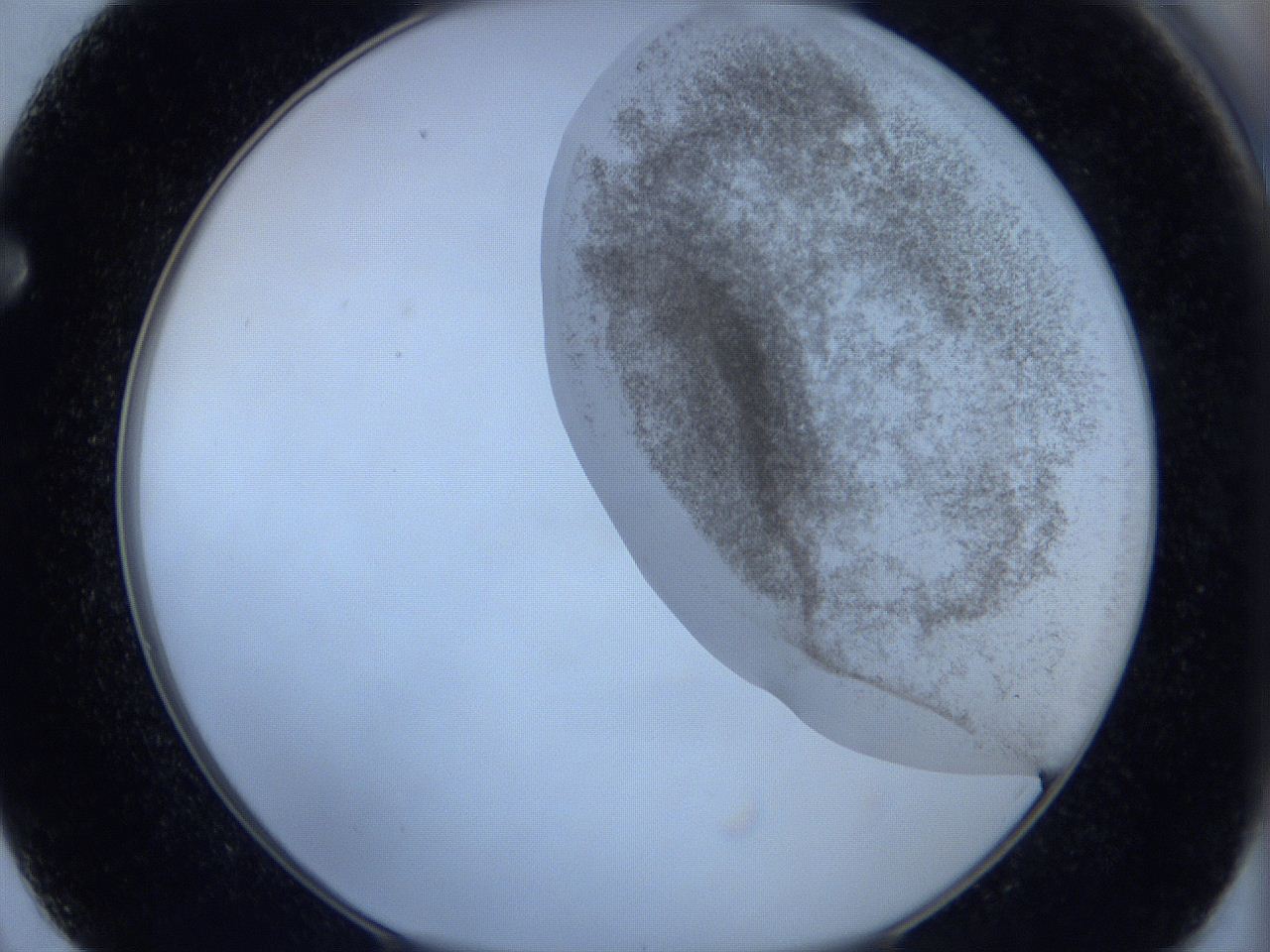 06hi_F2_ImagerDefaults_3.jpg