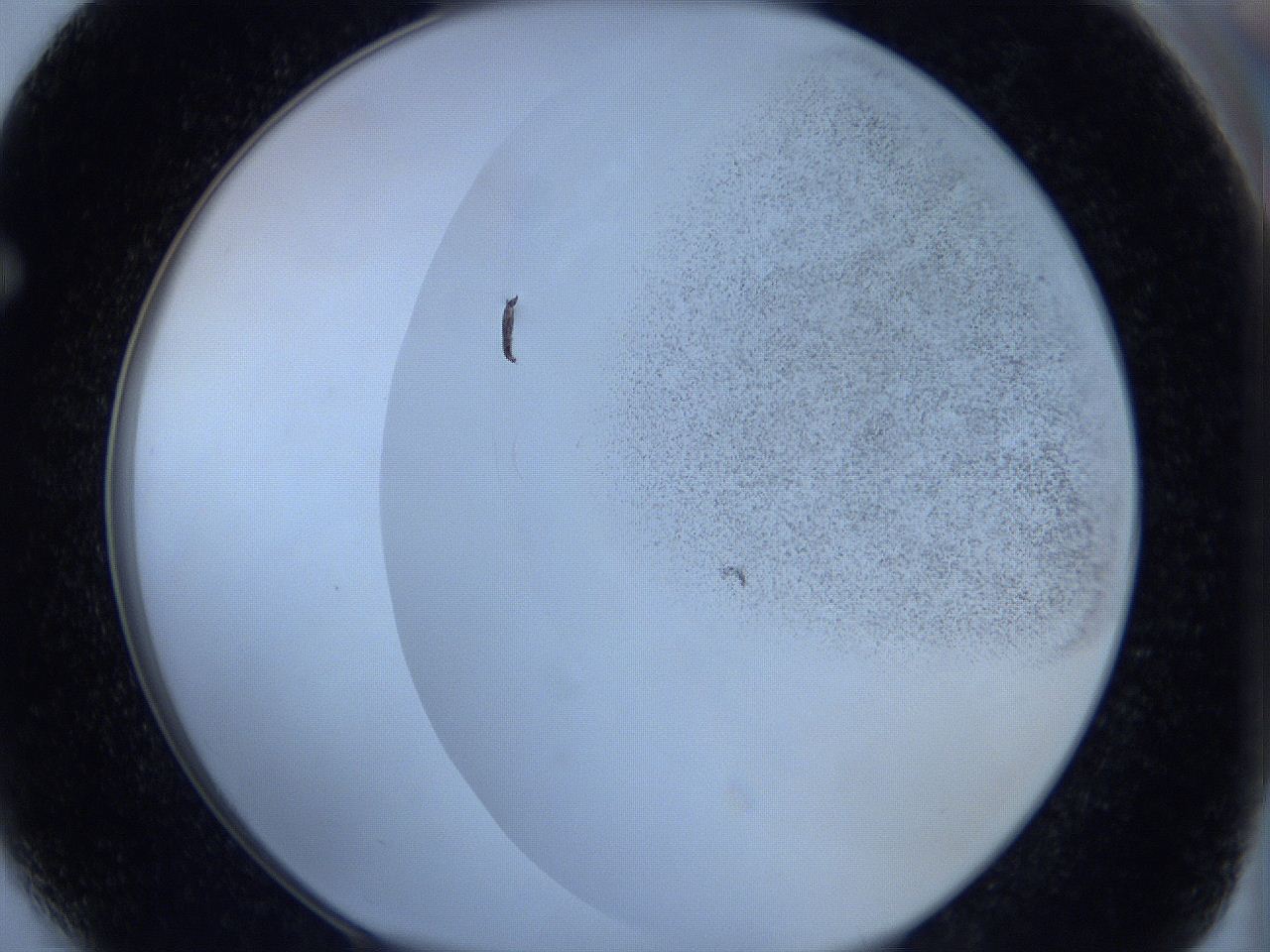 06hi_F4_ImagerDefaults_2.jpg