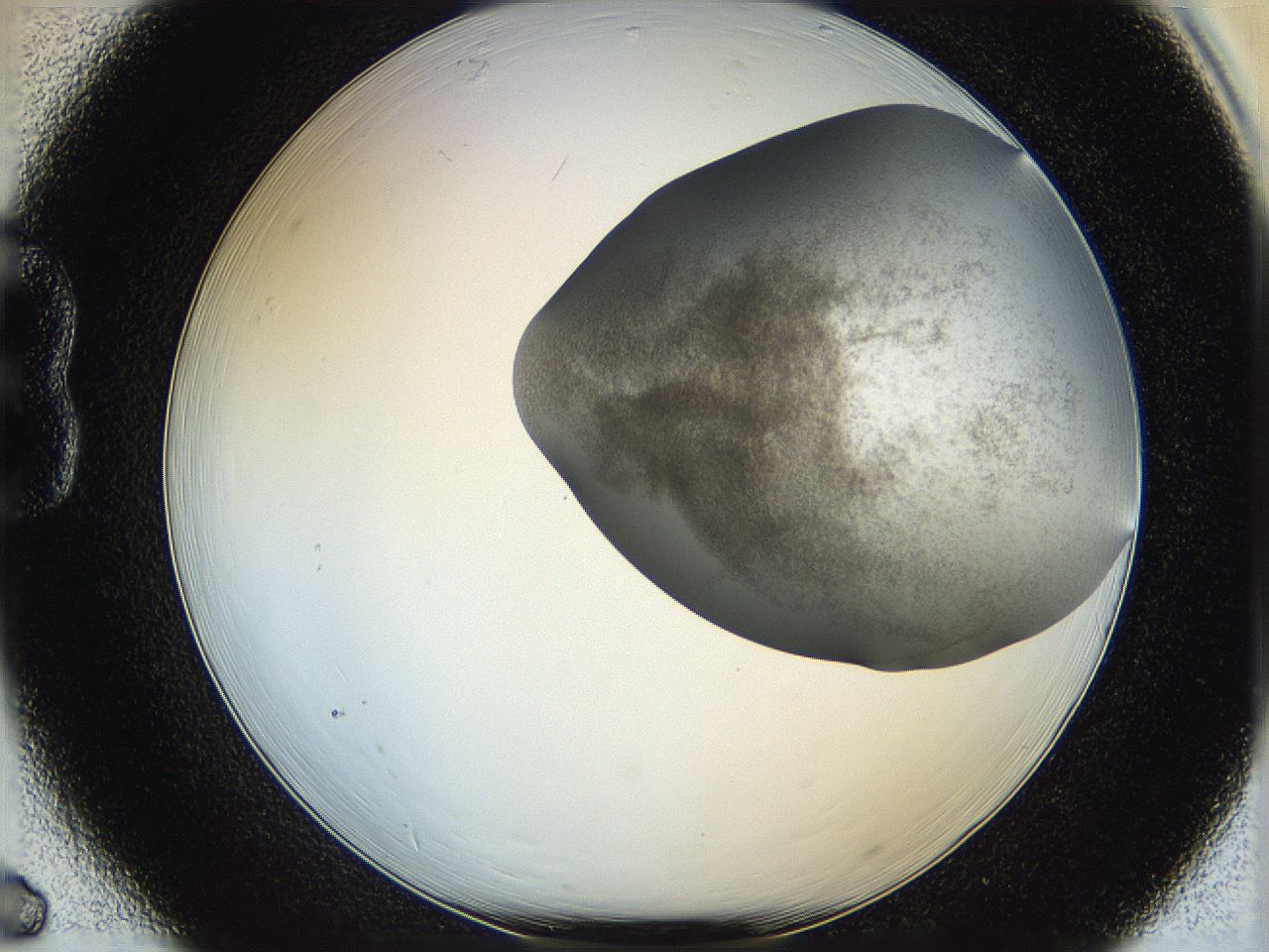 06hk_B6_ImagerDefaults_3.jpg
