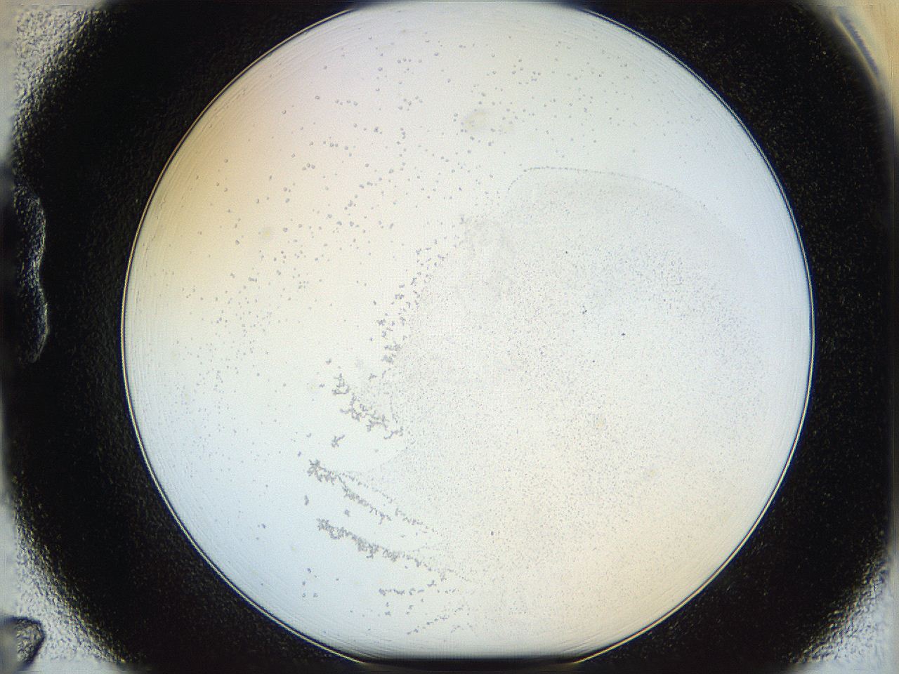 06hk_B7_ImagerDefaults_2.jpg