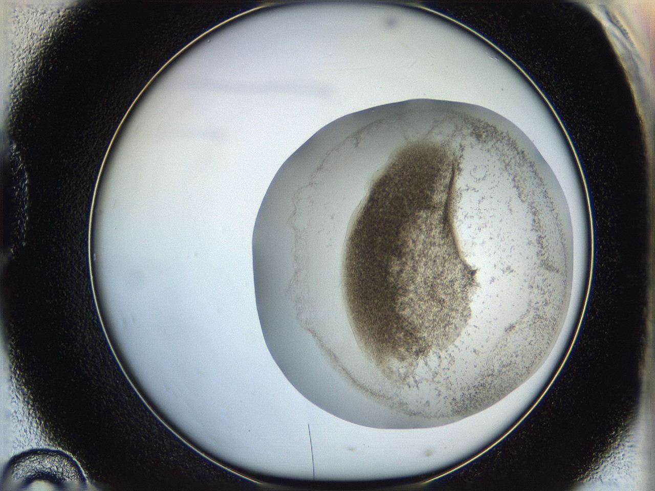 06hk_D10_ImagerDefaults_3.jpg