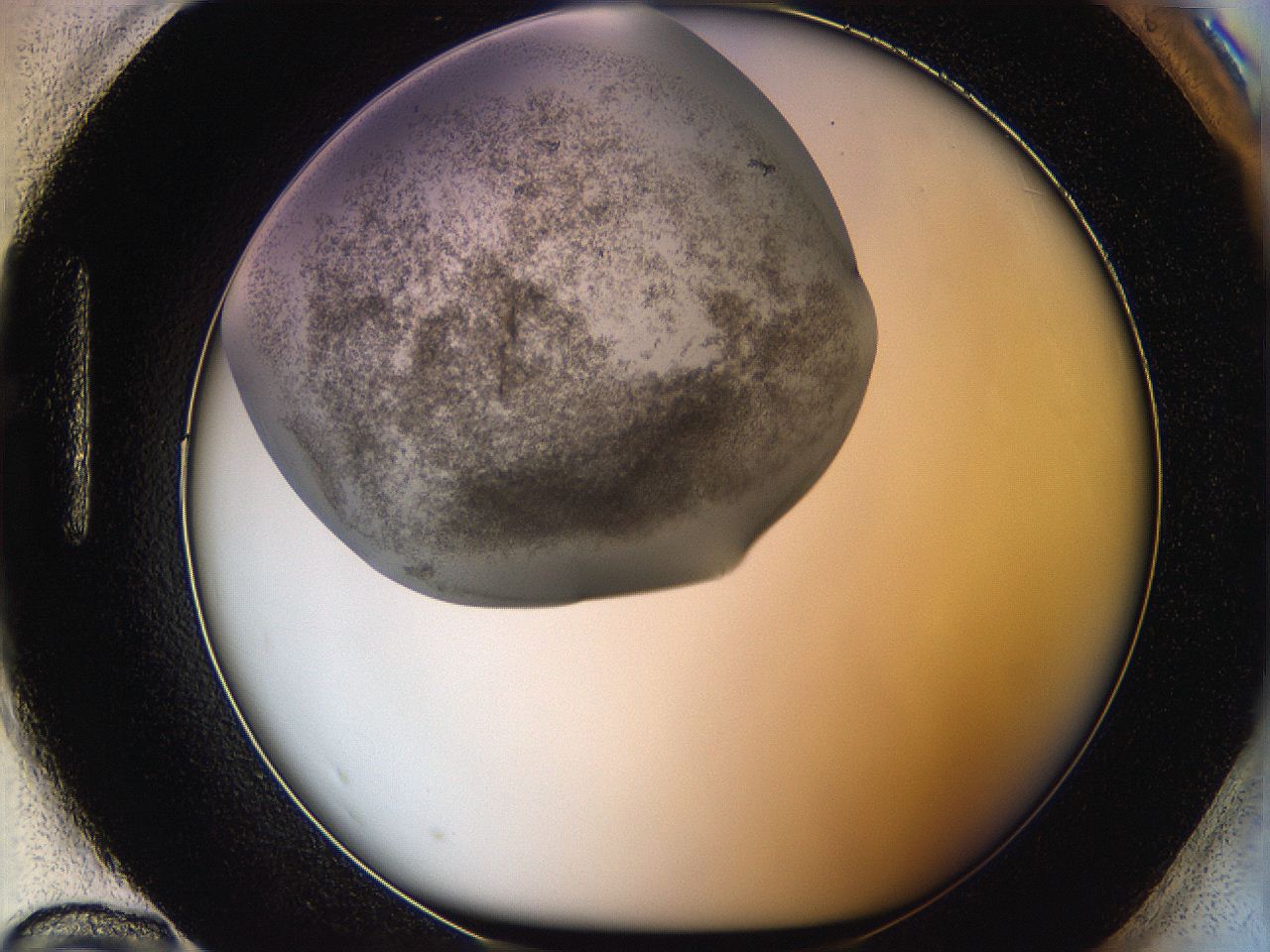 06hk_H12_ImagerDefaults_3.jpg