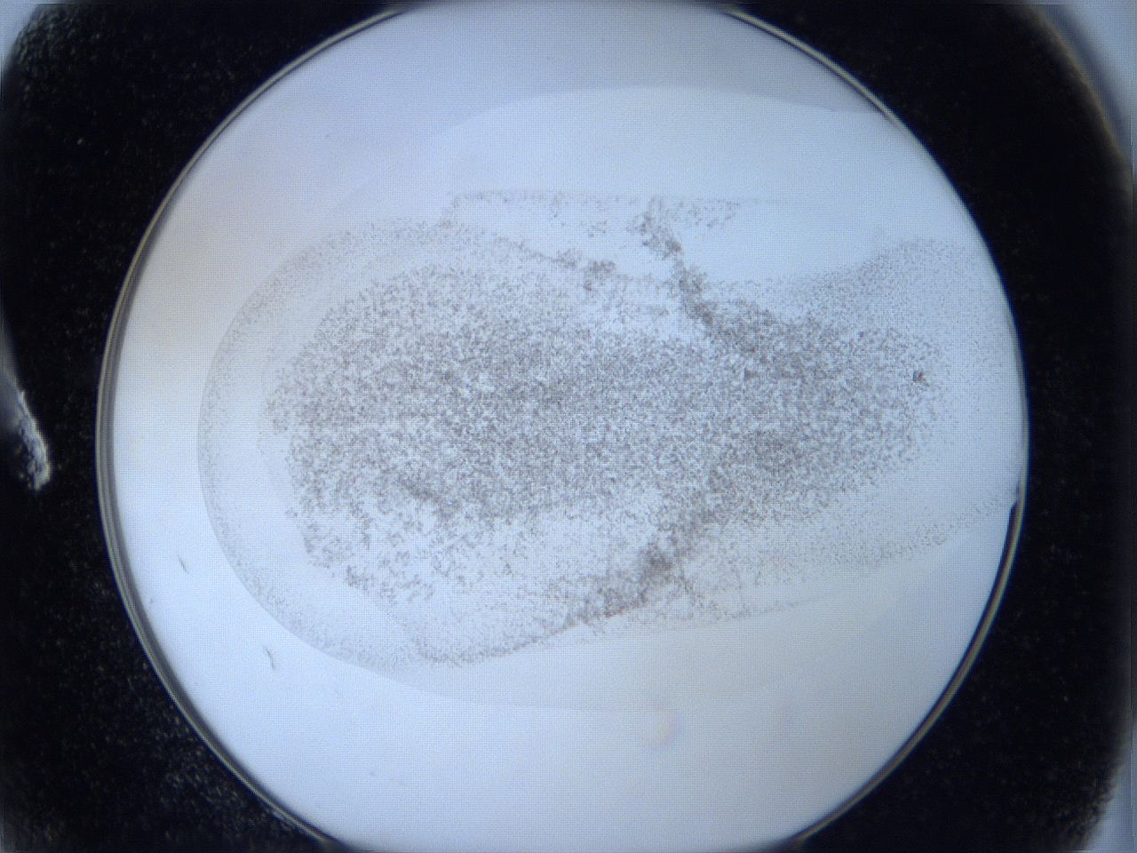 06hl_A2_ImagerDefaults_2.jpg