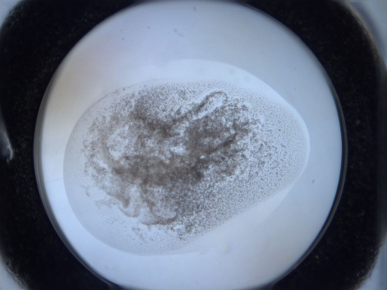 06hl_A6_ImagerDefaults_3.jpg