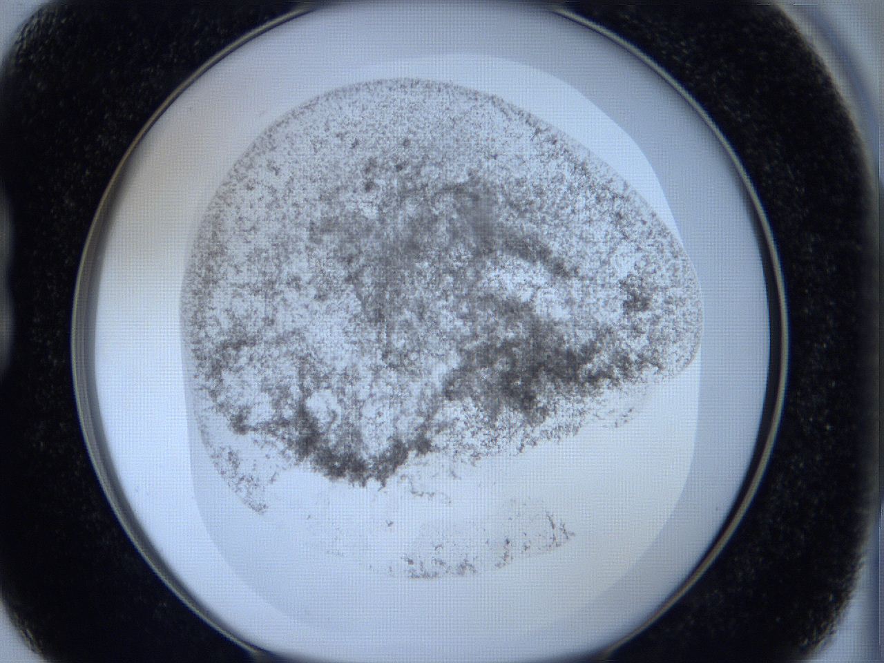 06hl_B3_ImagerDefaults_3.jpg
