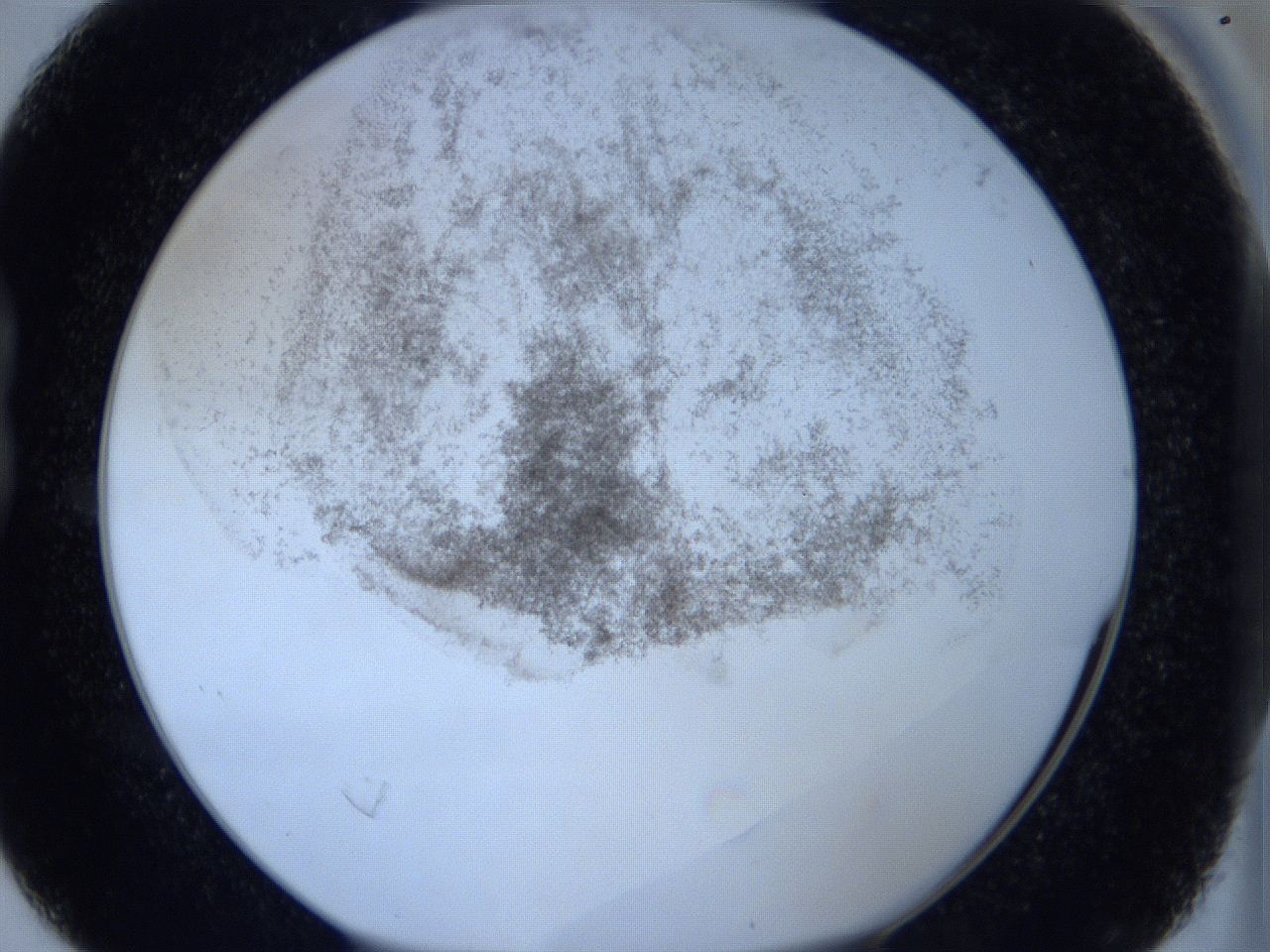 06hl_B4_ImagerDefaults_3.jpg