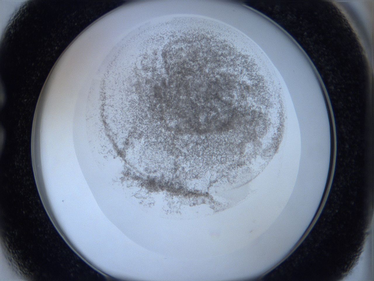 06hl_C3_ImagerDefaults_3.jpg