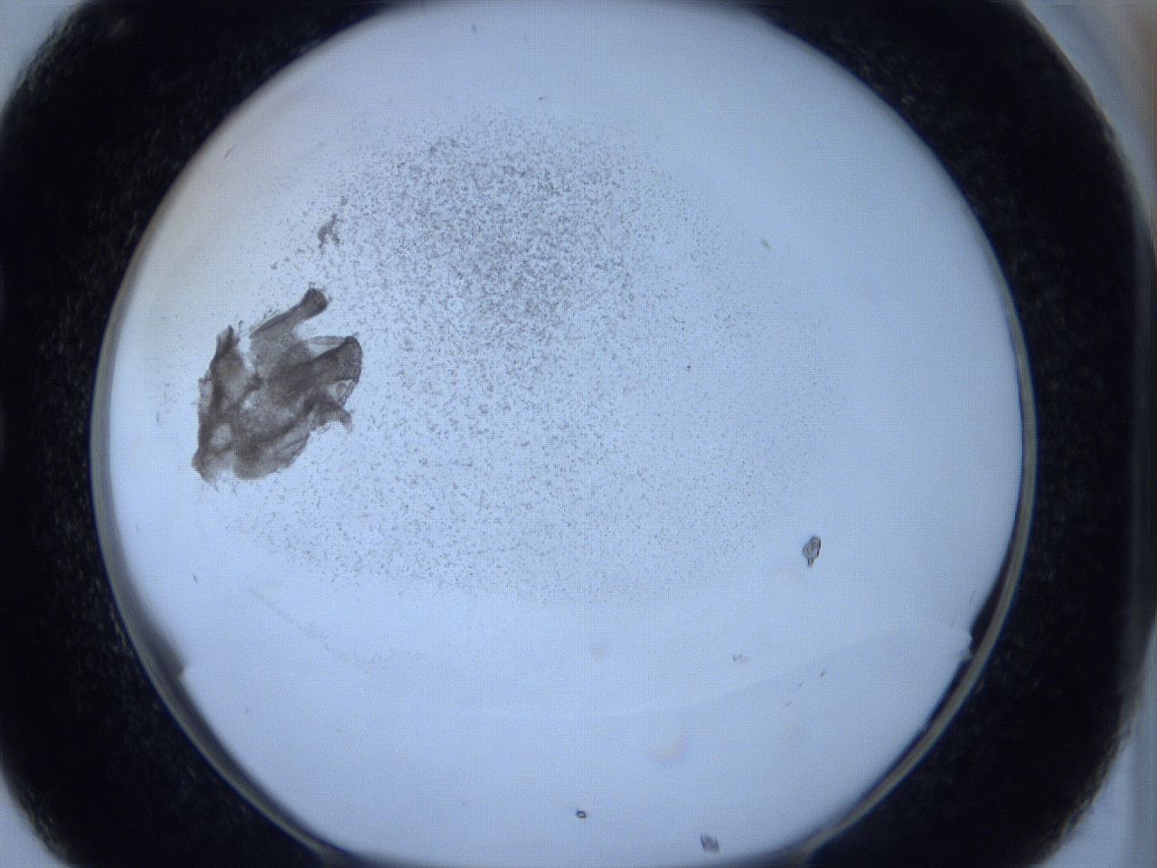 06hl_C8_ImagerDefaults_3.jpg