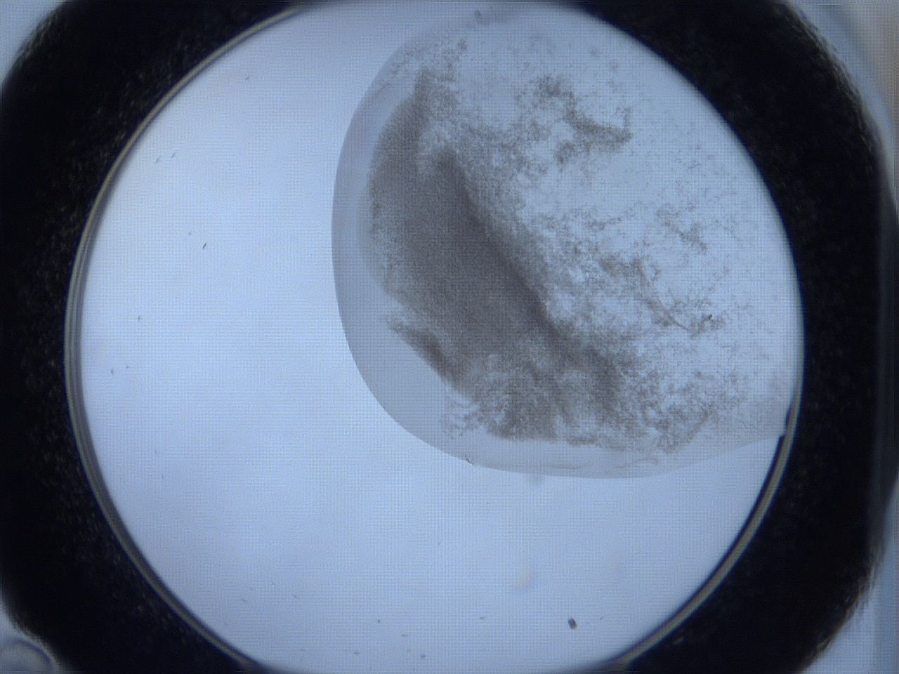 06hl_C10_ImagerDefaults_3.jpg
