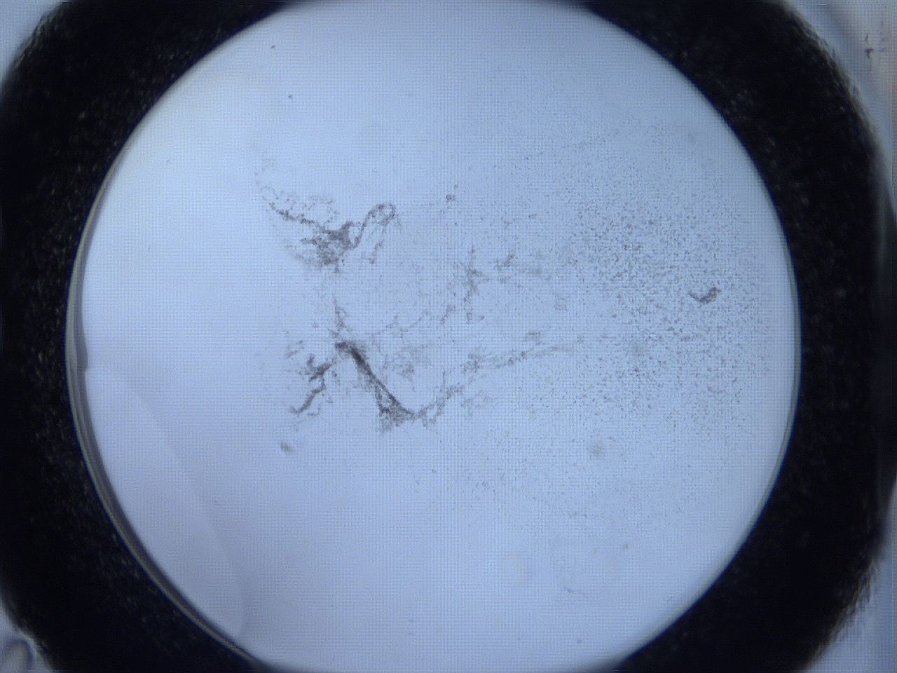 06hl_C11_ImagerDefaults_3.jpg