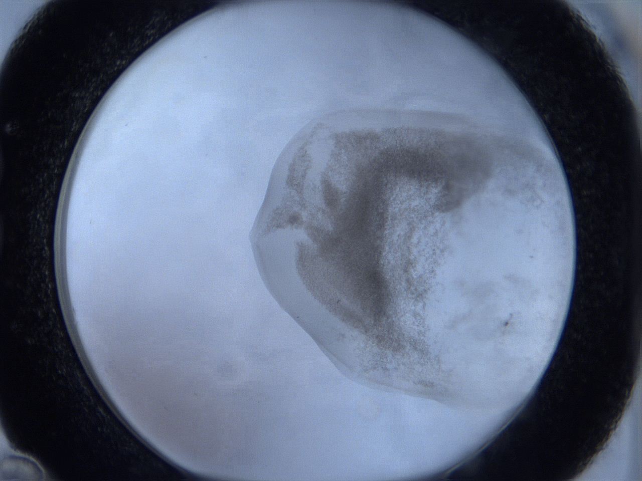 06hl_C12_ImagerDefaults_3.jpg