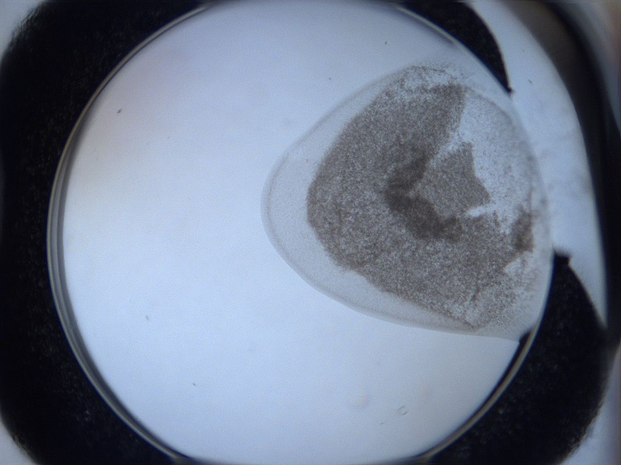 06hl_D4_ImagerDefaults_3.jpg