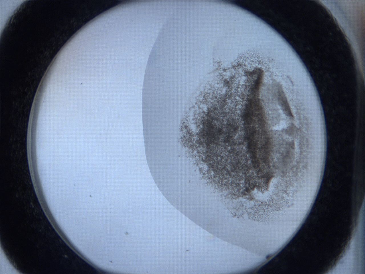 06hl_D7_ImagerDefaults_3.jpg