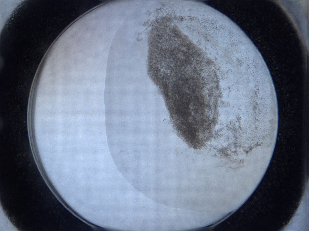 06hl_E2_ImagerDefaults_3.jpg