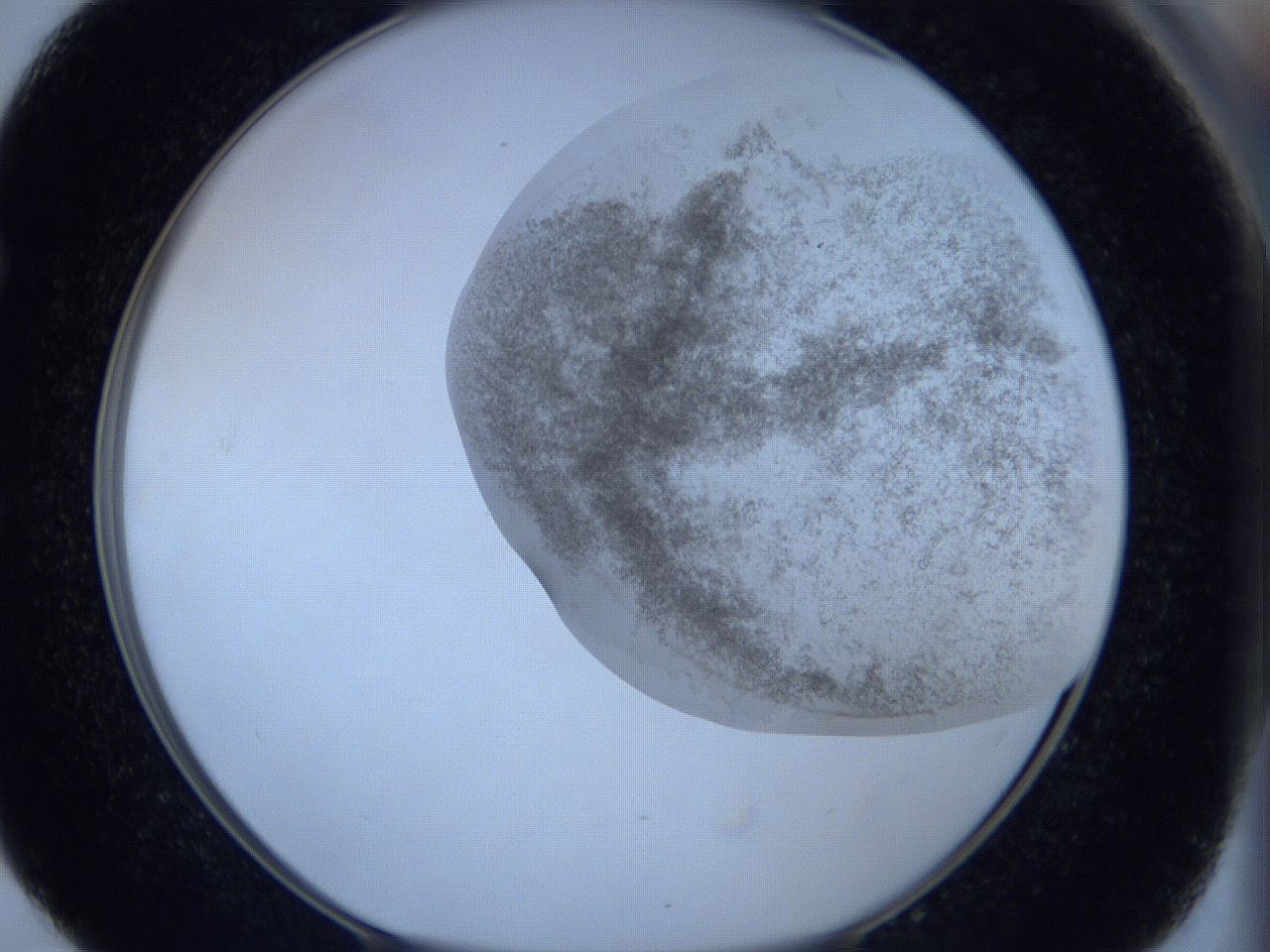 06hl_E4_ImagerDefaults_3.jpg