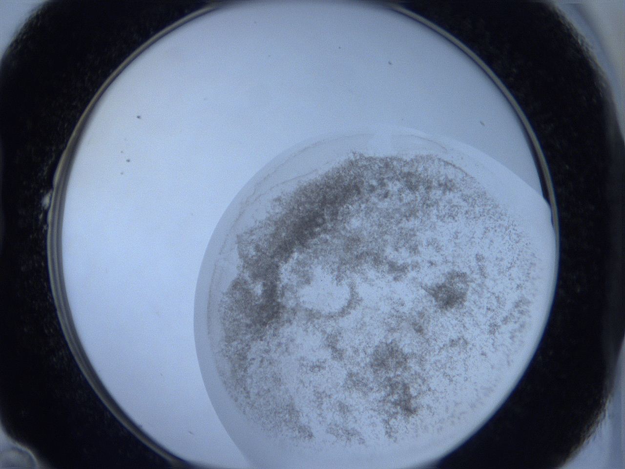 06hl_B10_ImagerDefaults_3.jpg