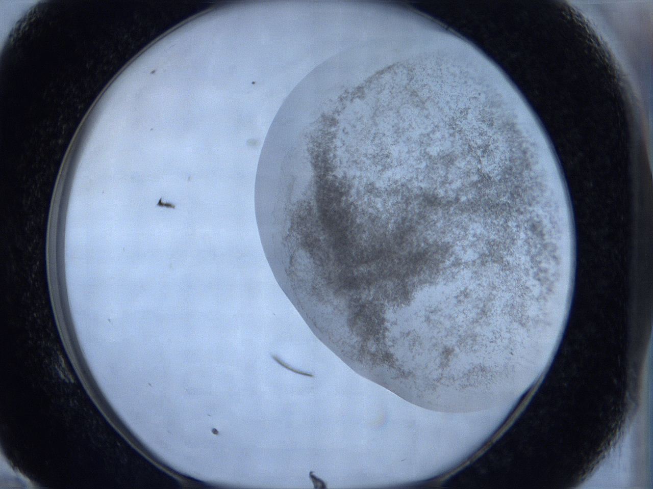 06hl_E10_ImagerDefaults_3.jpg