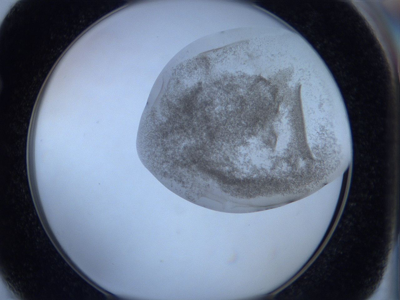 06hl_F4_ImagerDefaults_3.jpg