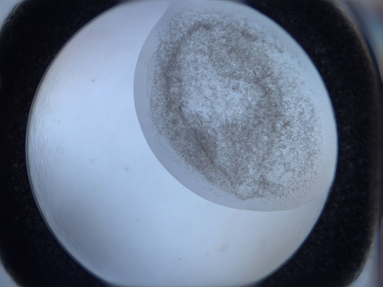 06hl_F5_ImagerDefaults_3.jpg
