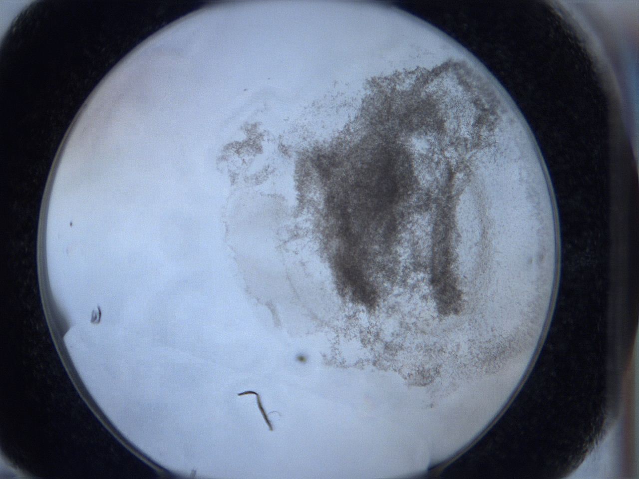 06hl_F10_ImagerDefaults_3.jpg