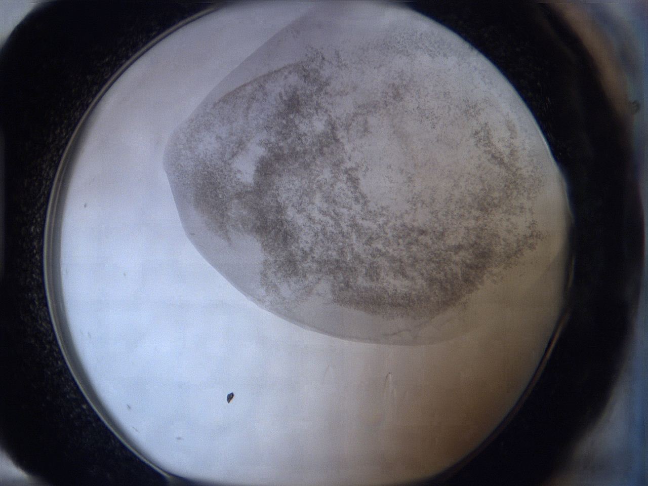06hl_H12_ImagerDefaults_3.jpg