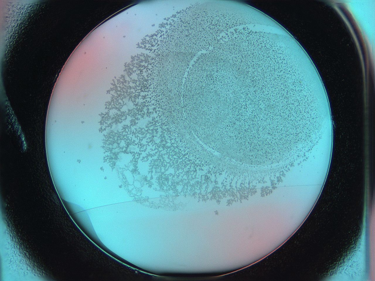 06hm_A1_ImagerDefaults_5.jpg