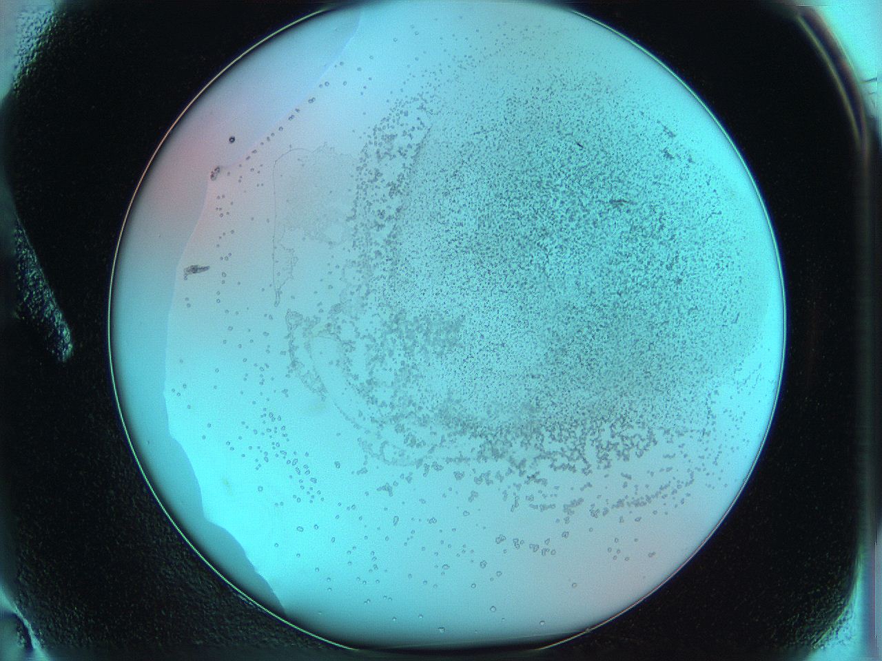 06hm_A2_ImagerDefaults_5.jpg