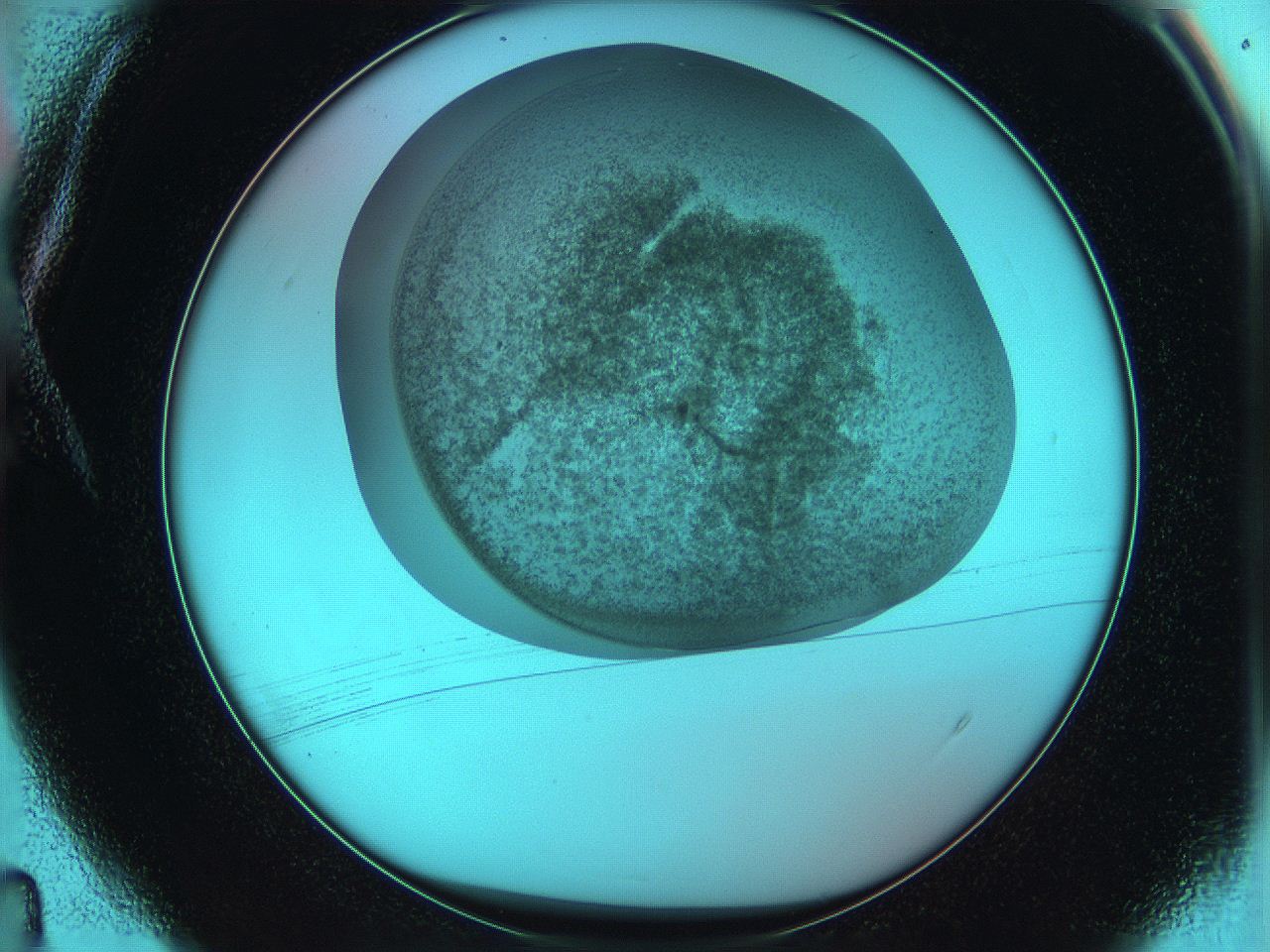 06hm_A4_ImagerDefaults_3.jpg