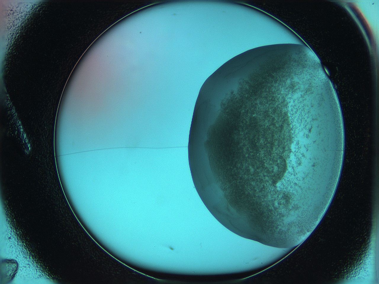 06hm_A7_ImagerDefaults_3.jpg