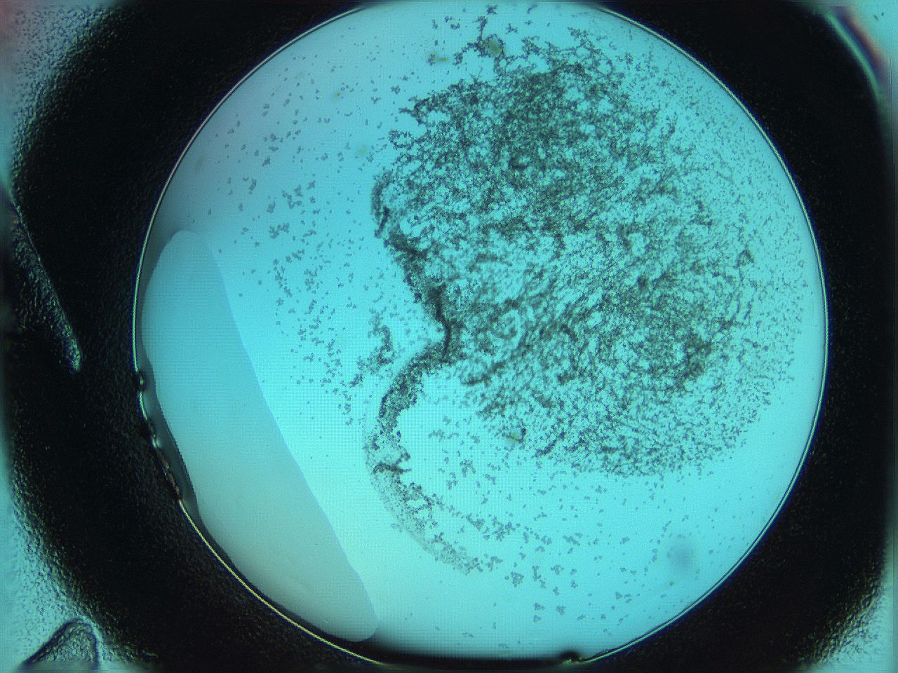 06hm_A11_ImagerDefaults_2.jpg