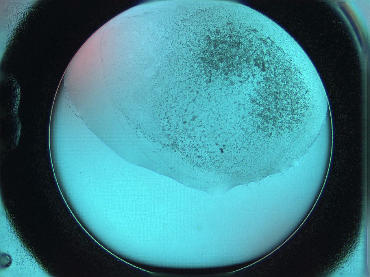 06hm_B5_ImagerDefaults_2.jpg