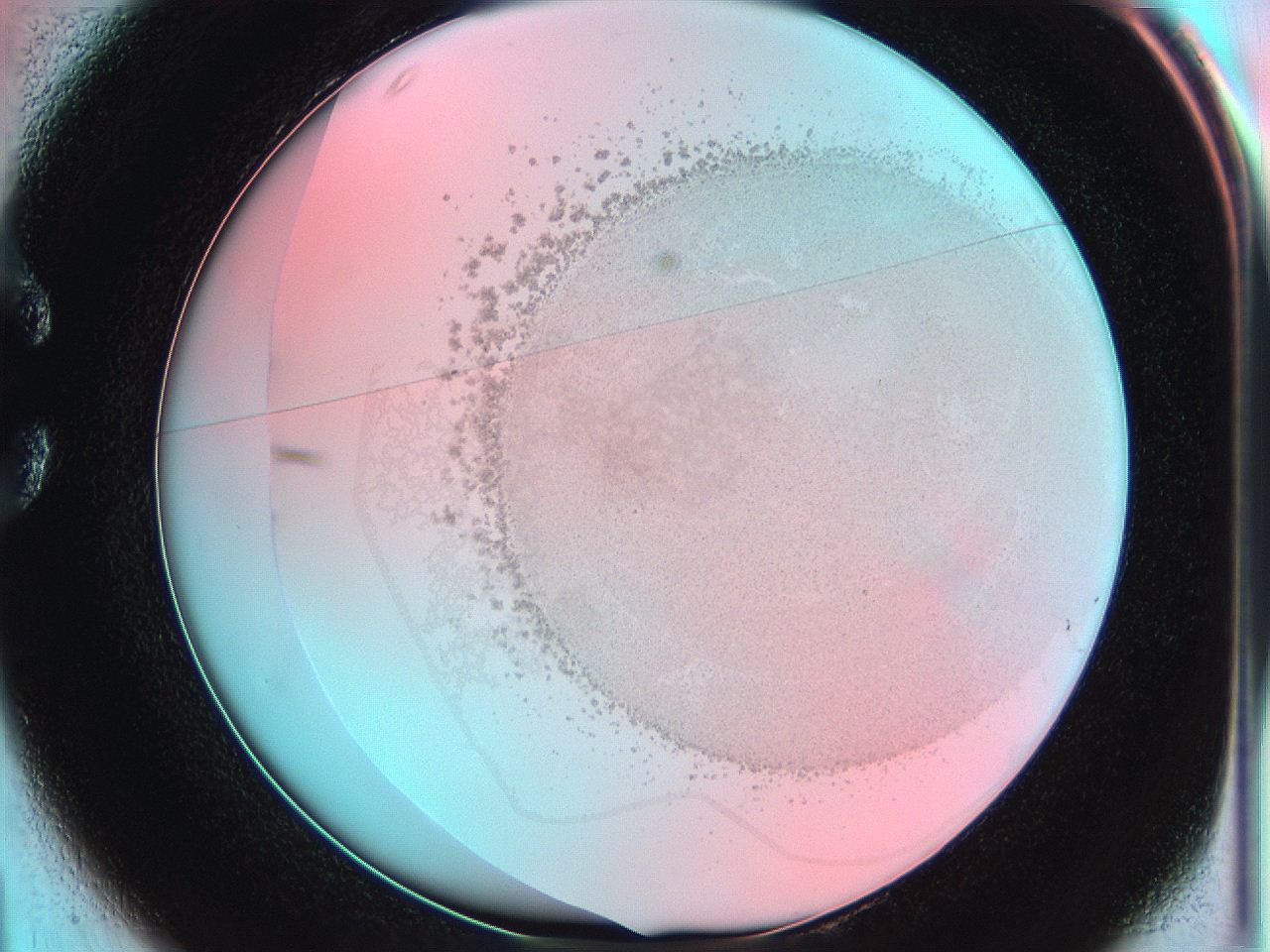 06hm_C1_ImagerDefaults_5.jpg