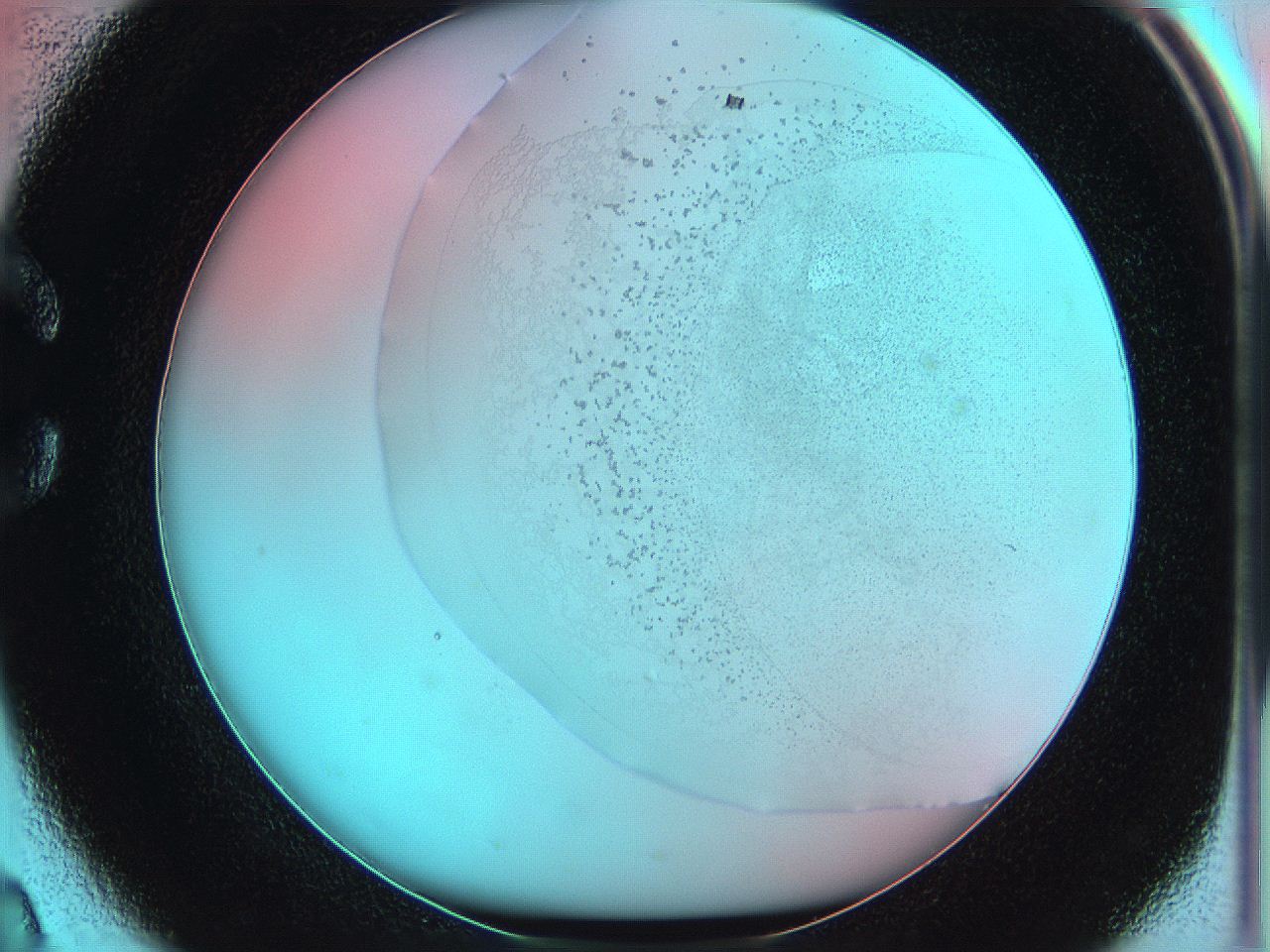 06hm_C2_ImagerDefaults_2.jpg