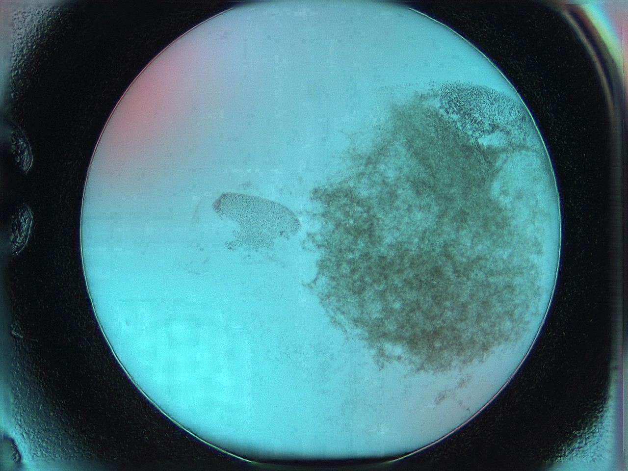 06hm_C3_ImagerDefaults_3.jpg