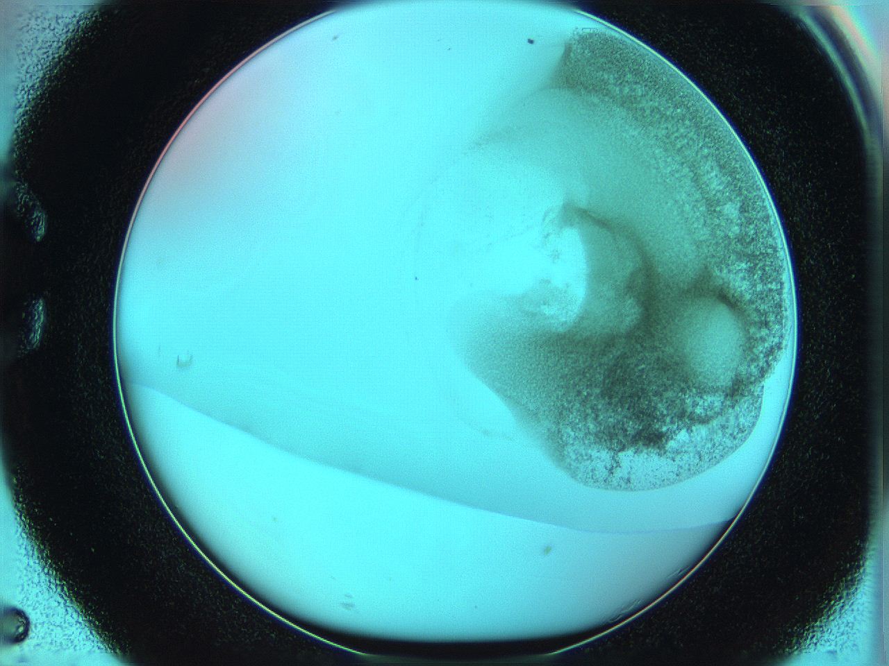 06hm_C5_ImagerDefaults_3.jpg